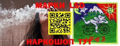 мяу мяу мука Аргун