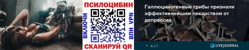 Галлюциногенные грибы прущие грибы  закладка  Волжский 